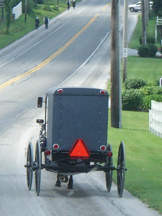 Amish-Kutsche